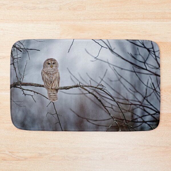 Item preview, Barred Owl  designed and sold by Michael Cummings.