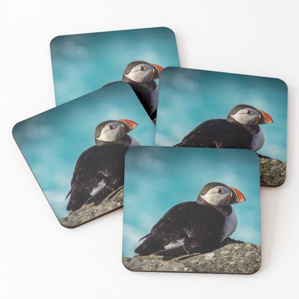Item preview, Frailecillo Orkney designed and sold by CGAPhotography.