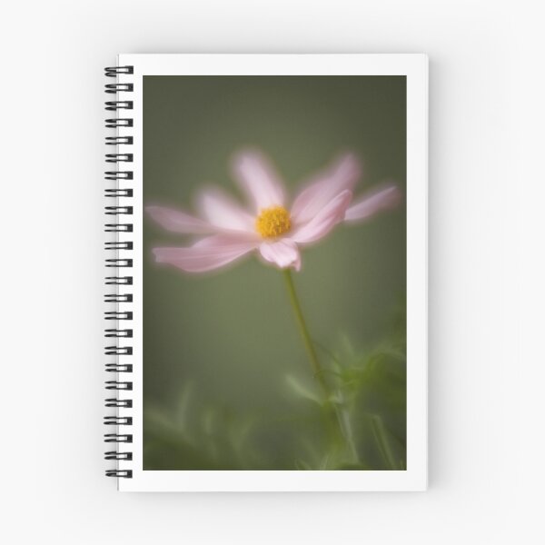 Item preview, Pink Cosmos Soft Focus designed and sold by Jill Bramley.
