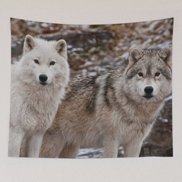 Item preview, Double Trouble designed and sold by Michael Cummings.