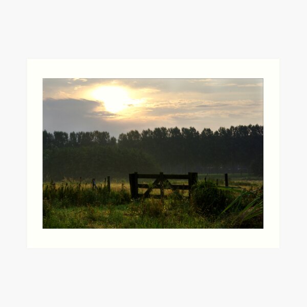 Art Print