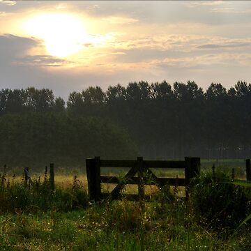 Artwork thumbnail, Morning light pastures by steppeland