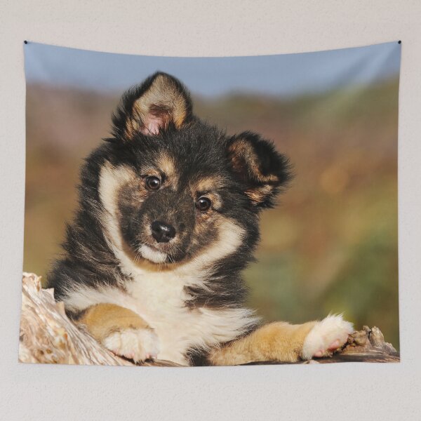 Artikelvorschau, "Puppy-eyed"  Icelandic Sheepdog entworfen und verkauft von Katho Menden.