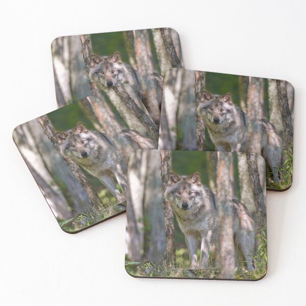 Item preview, Timber wolf in Forest designed and sold by Michael Cummings.