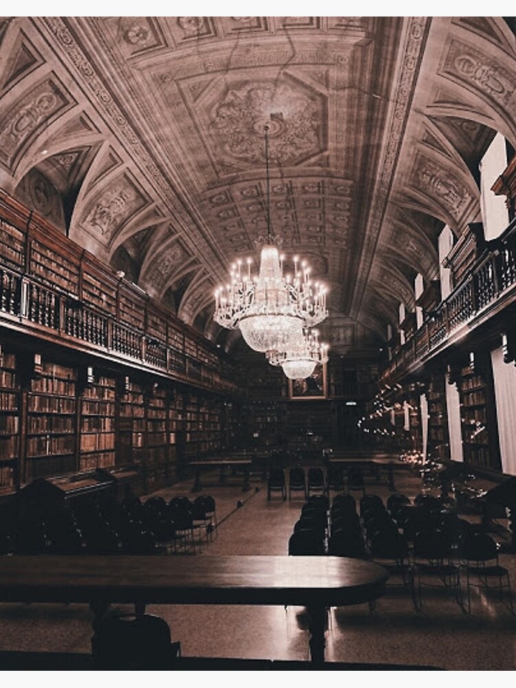 Featured image of post Dark Academia Library Books : View books research papers on academia.edu for free.