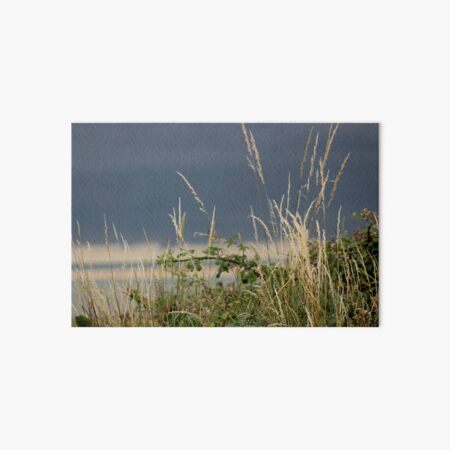 Grasses over the slate skies of the estuary Art Board Print