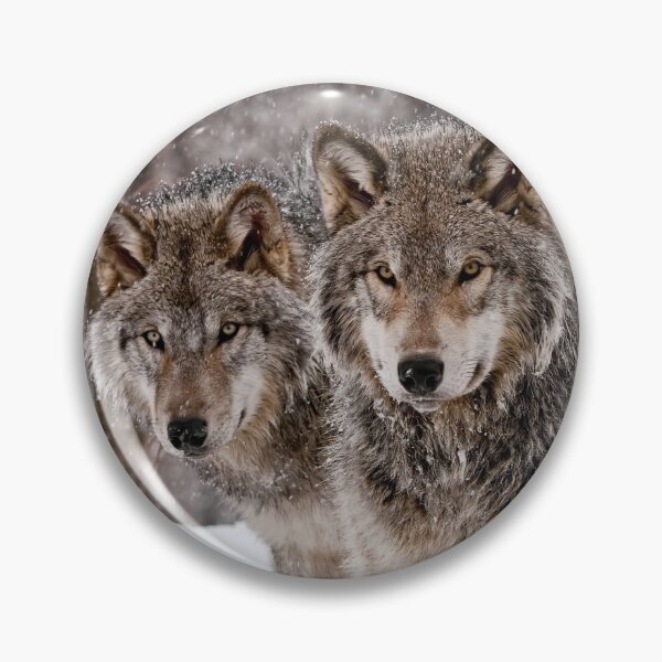 Item preview, Timber Wolf Pair designed and sold by Michael Cummings.
