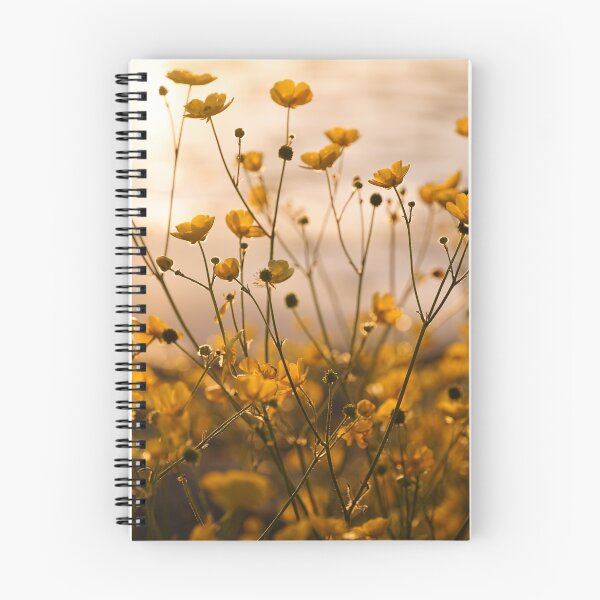 Item preview, Sunlit buttercups designed and sold by CGAPhotography.