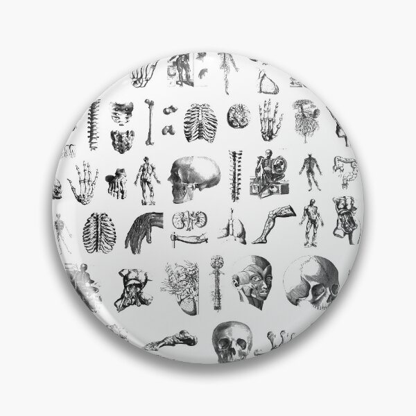 Item preview, Anatomy designed and sold by MandaMacabre.