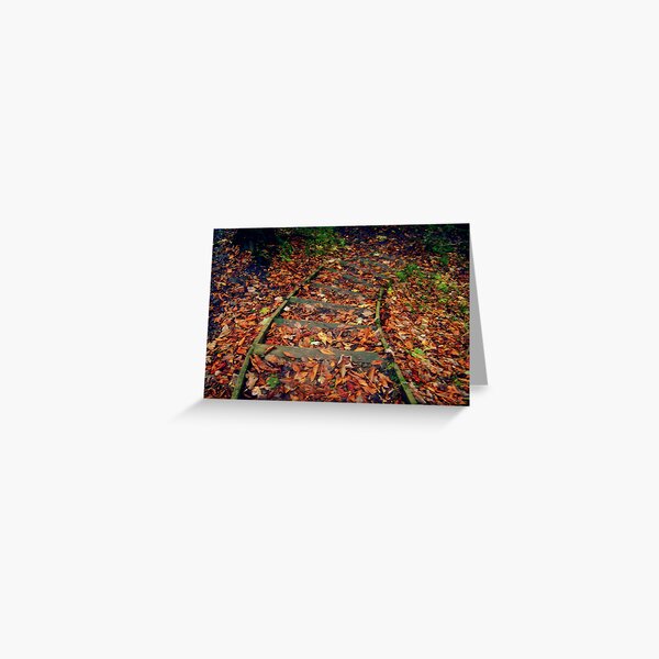 Stepping down... Greeting Card