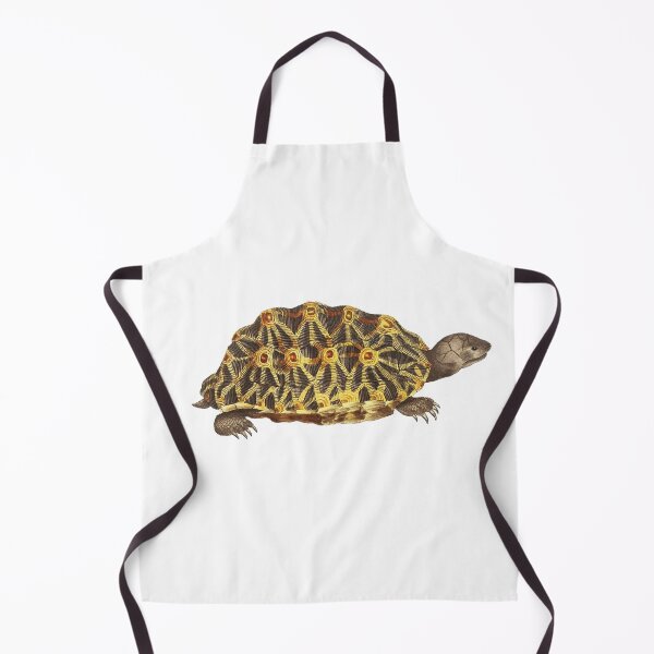 Item preview, Tortoise Drawing designed and sold by darwinsworld.