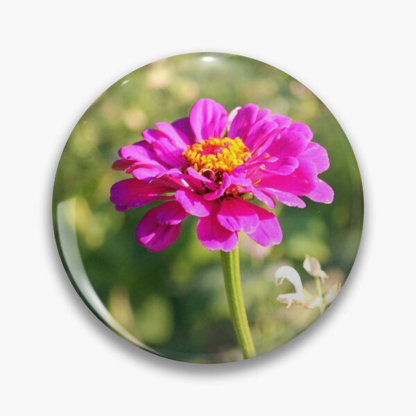 Item preview, Showy Pink Zinnia designed and sold by Cynthia48.