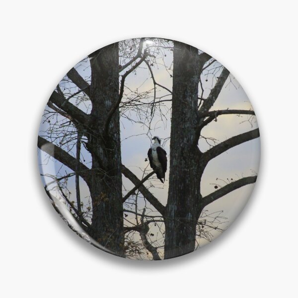 Item preview, Osprey Perched Between Trees designed and sold by Cynthia48.