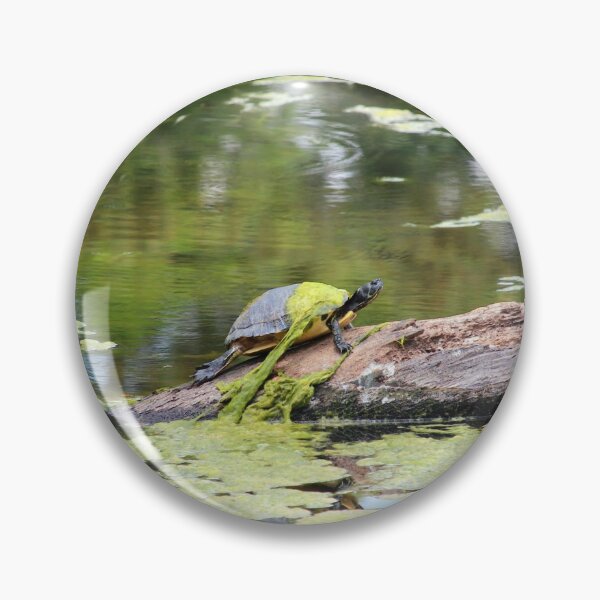 Item preview, A Slimy Turtle designed and sold by Cynthia48.