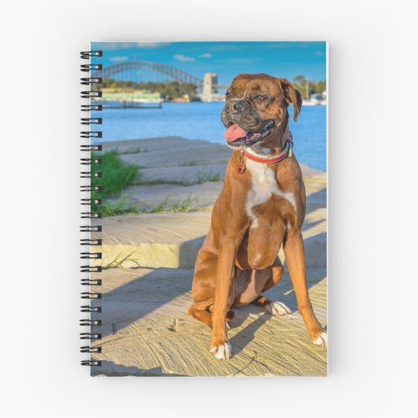 Item preview, Boxer on the Harbour designed and sold by Roger  Mackertich.