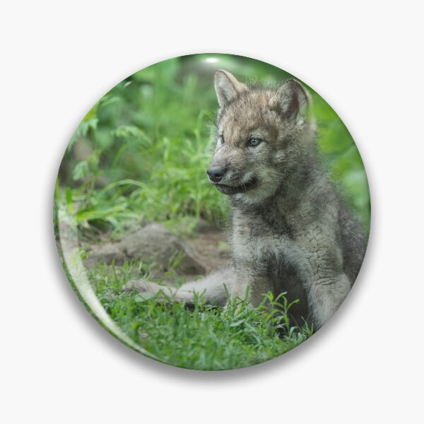 Item preview, Timber Wolf Pup designed and sold by WolvesOnly.