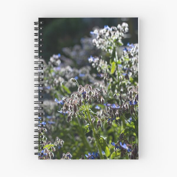 Item preview, Borage ( Borago Officinalis ) designed and sold by ccullen222.