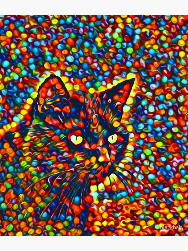 Cat by blackhalt