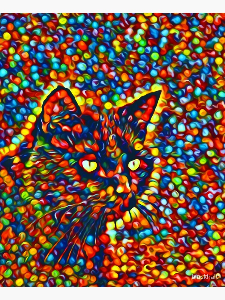 Cat by blackhalt