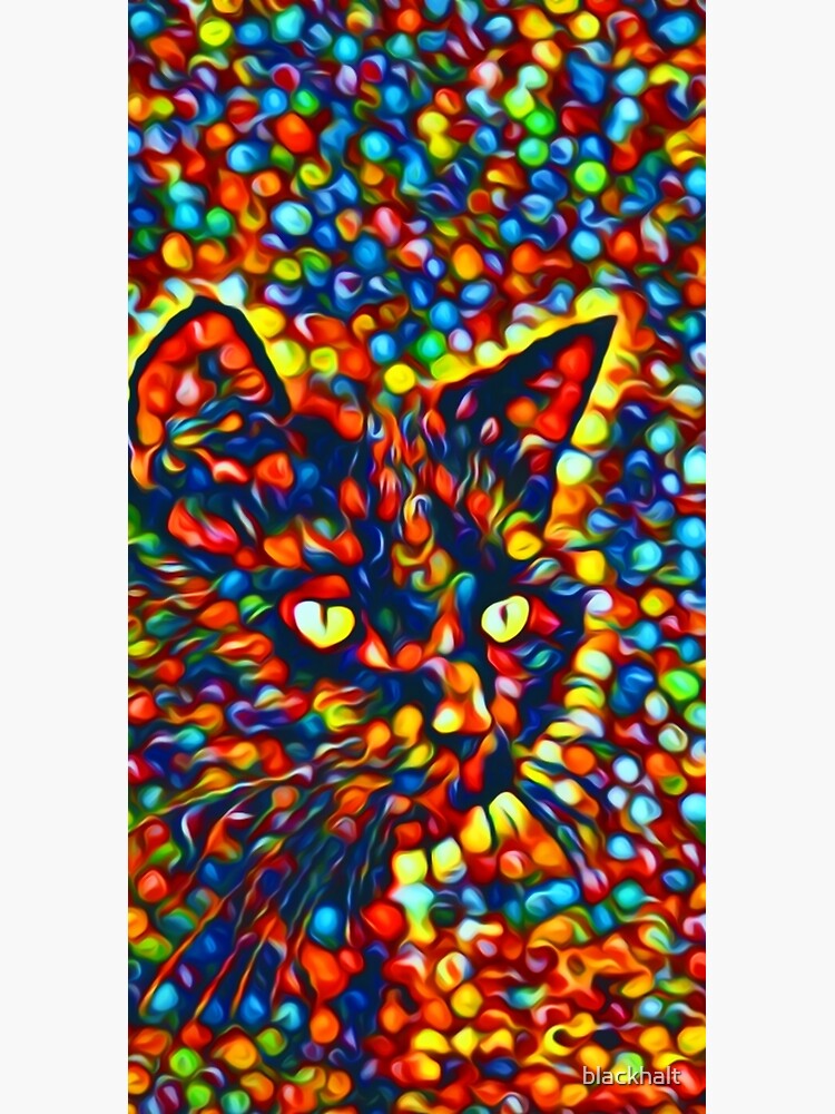 Cat by blackhalt