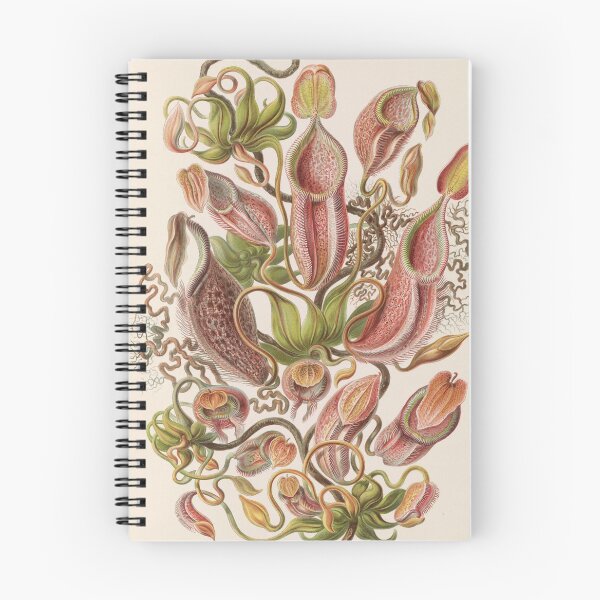 Item preview, Carnivorous Plants designed and sold by VintageArtistry.