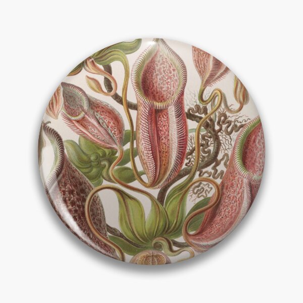 Item preview, Carnivorous Plants designed and sold by VintageArtistry.