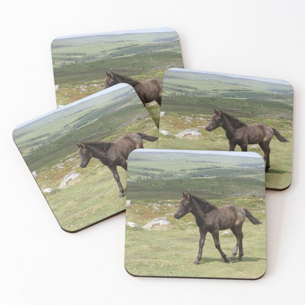 Item preview, Dartmoor Pony Foal designed and sold by aquabella.