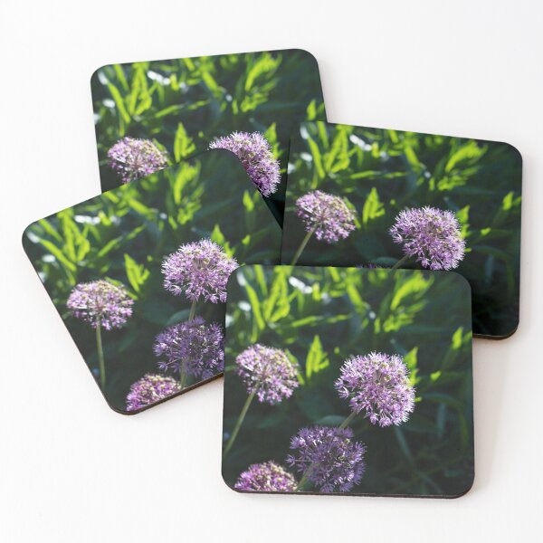 Item preview, Allium flower heads designed and sold by ccullen222.