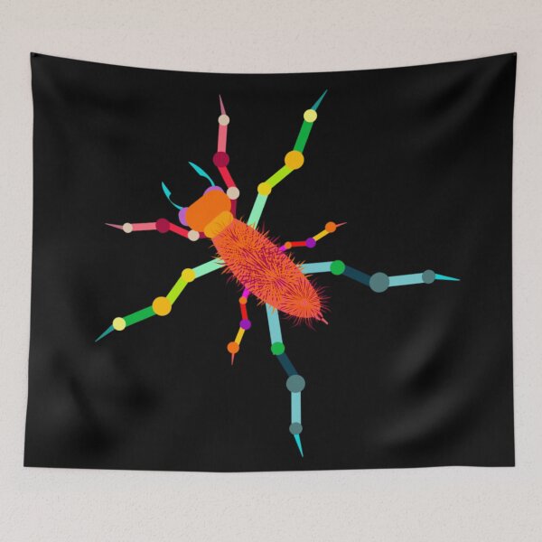 Item preview, Araña arcoiris designed and sold by TheBWGalerie.
