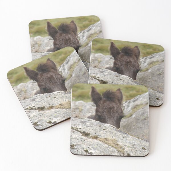 Item preview, Dartmoor Pony Foal designed and sold by aquabella.