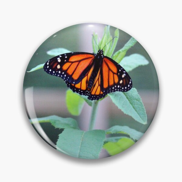 Item preview, Monarch On A Green Plant designed and sold by Cynthia48.