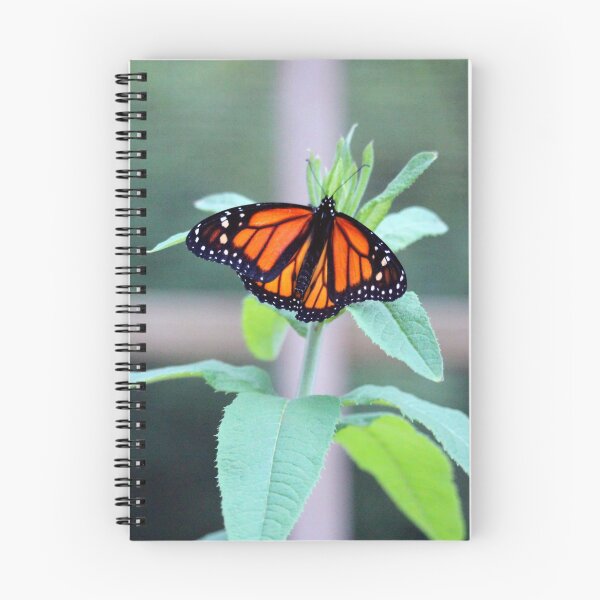 Item preview, Monarch On A Green Plant designed and sold by Cynthia48.