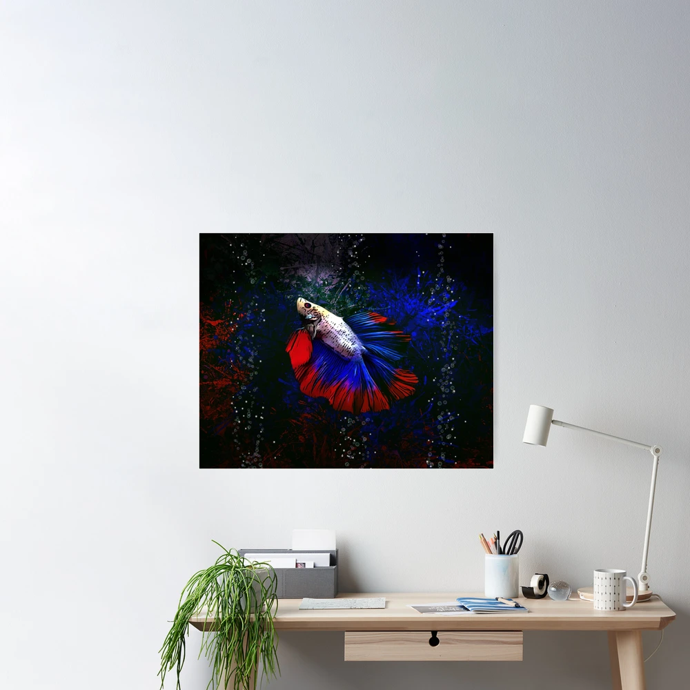 Red and Blue Betta Fish - Wrapped Canvas Painting Rosecliff Heights Size: 12 H x 12 W