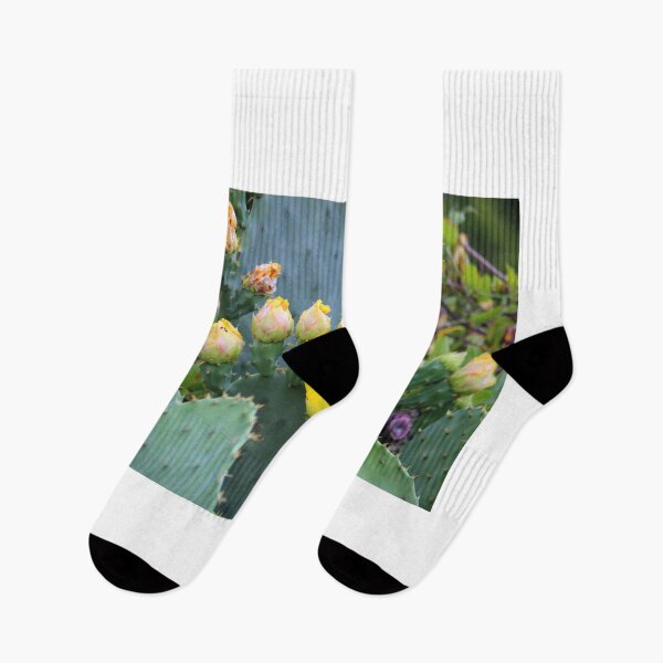 Item preview, Flowering Cactus designed and sold by Cynthia48.