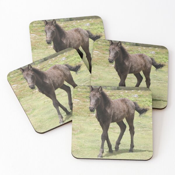 Item preview, Dartmoor Pony Foal designed and sold by aquabella.