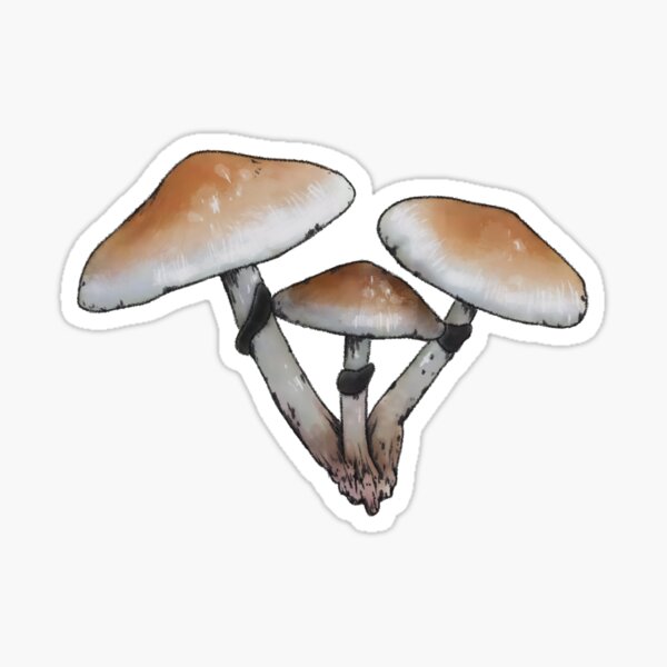 Item preview, Psilocybe Cubensis Mushroom 2 designed and sold by jakewashere.