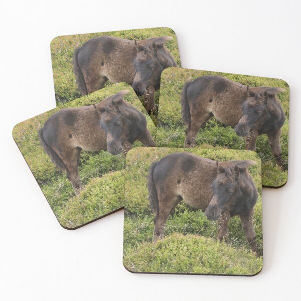 Item preview, Dartmoor Pony Foal designed and sold by aquabella.