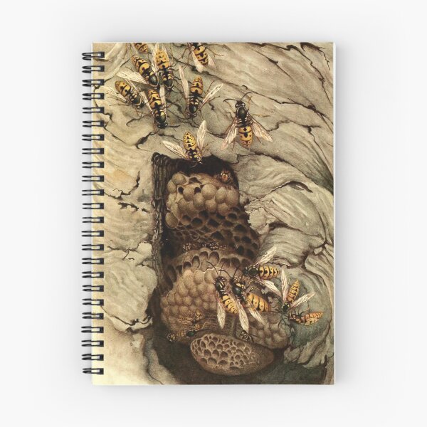 Item preview, inside a wasp nest designed and sold by VintageArtistry.