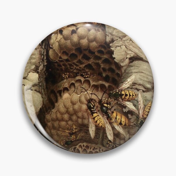 Item preview, inside a wasp nest designed and sold by VintageArtistry.