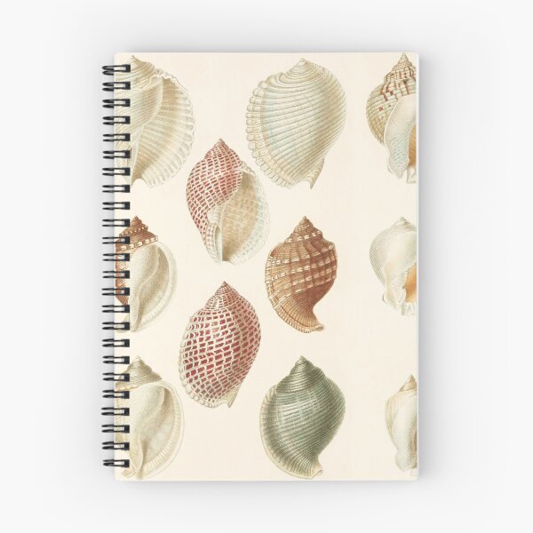 Item preview, Snail shells designed and sold by VintageArtistry.