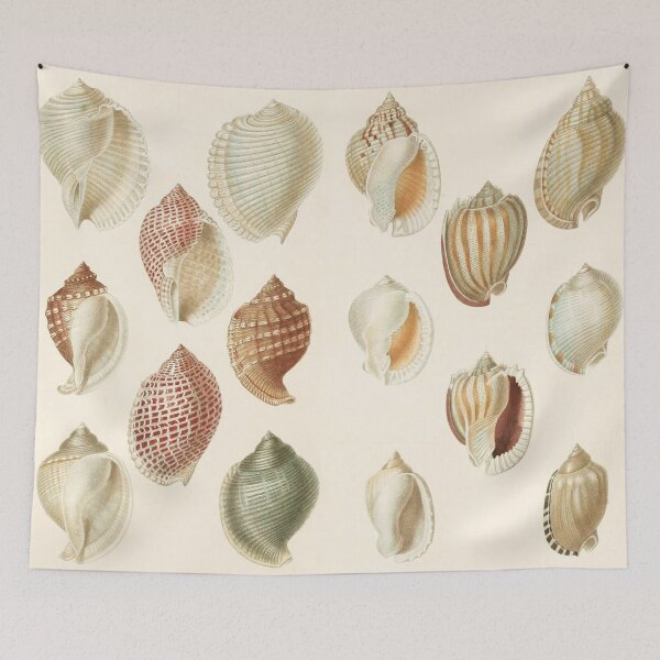 Item preview, Snail shells designed and sold by VintageArtistry.