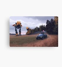 Decoy Canvas Print