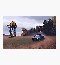 Decoy Photographic Print