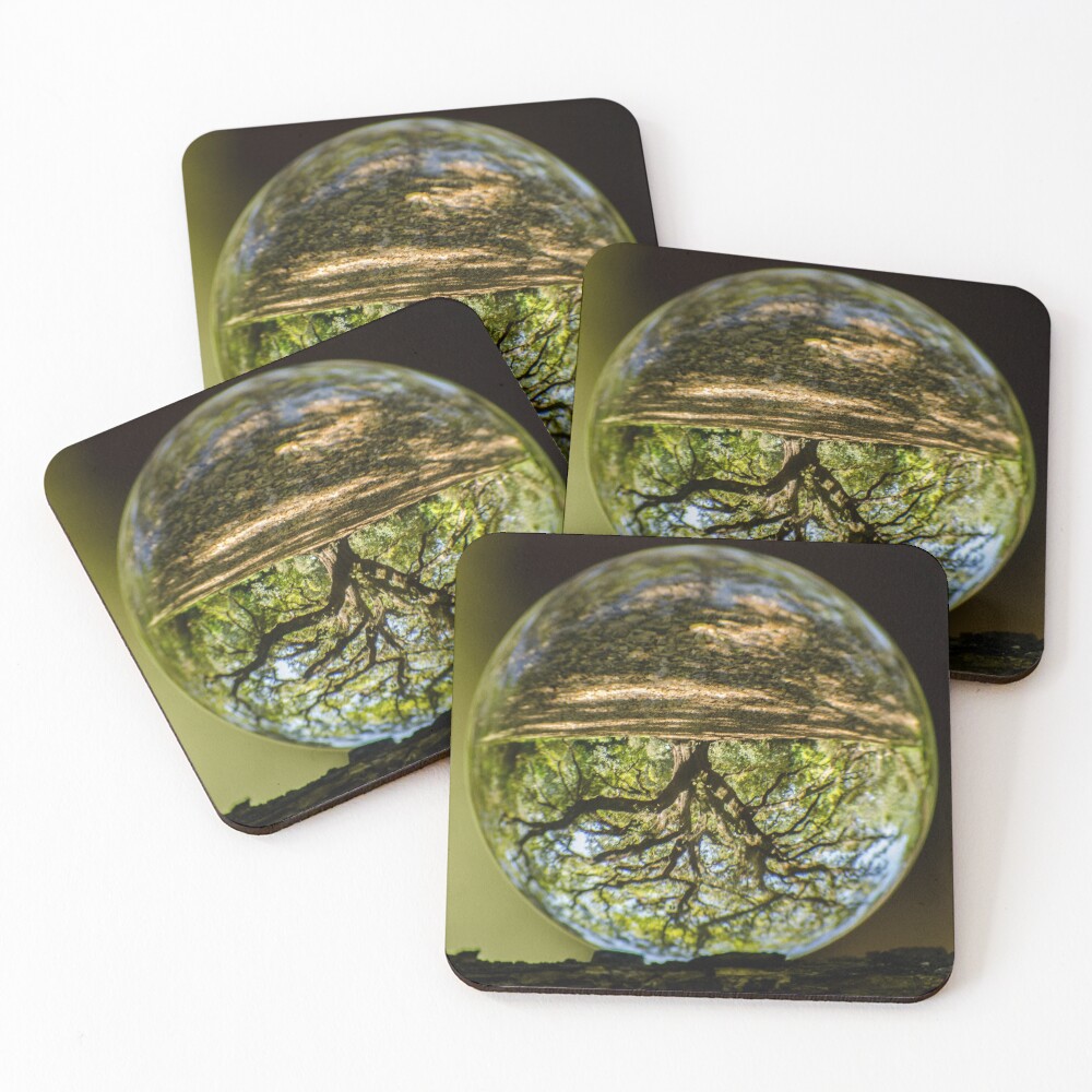 Item preview, Coasters (Set of 4) designed and sold by RewskiPhotos.
