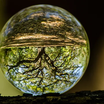 Artwork thumbnail, Spheric Genesis by RewskiPhotos