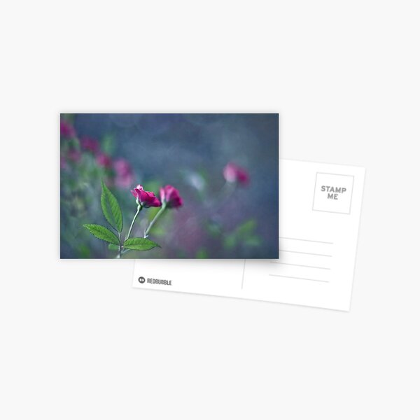 Garden romance Postcard