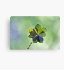 Love in love with Love Canvas Print