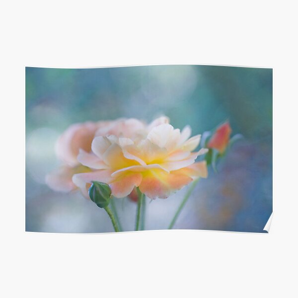 Essence of beauty I Poster