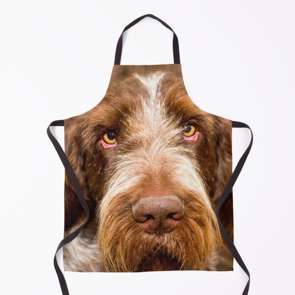 Item preview, Love is where we are Spinone by heidiannemorris designed and sold by FOLK ART FUSION by heidiannemorris.