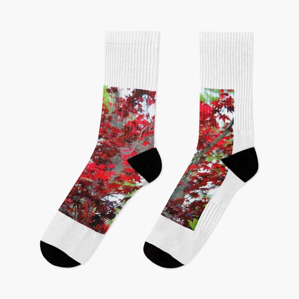 Item preview, Red Leaves In The Spring designed and sold by Cynthia48.